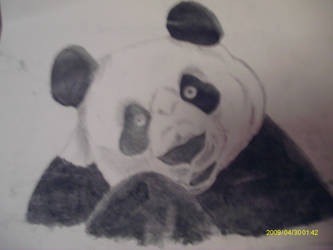 PANDA finished