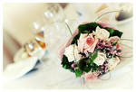wed 226 by kazan-wedding