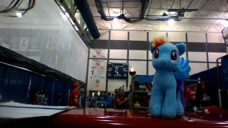 Rainbow Dash At Robotics!