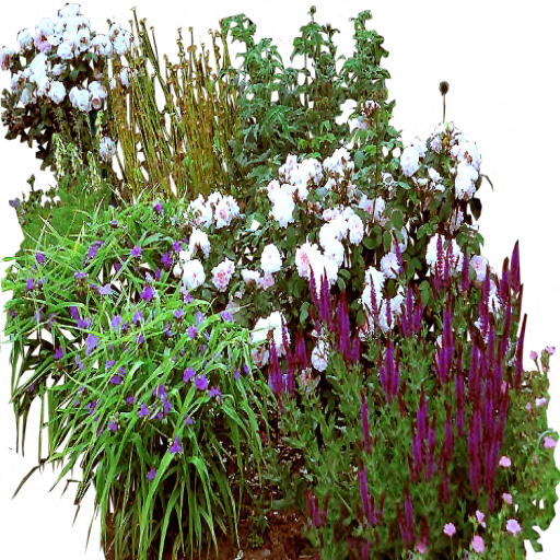 Garden bed with roses