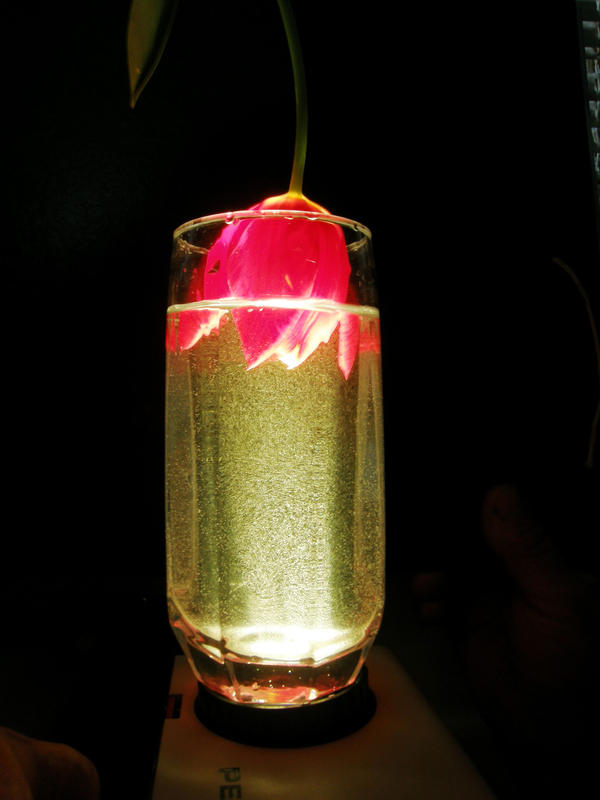 Evolution by Addic73d on DeviantArt