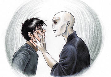 Deathly Hallows Harrymort