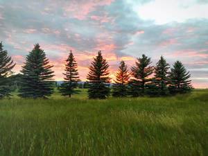 Montana Fire Sky III