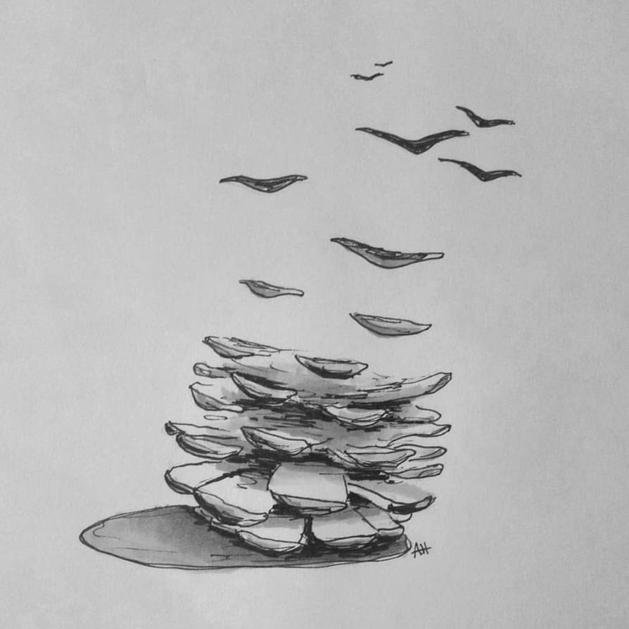 How Pine Trees Grow By Dot Desperation On DeviantArt how-pine-trees-grow-by-dot-desperation-on-deviantart