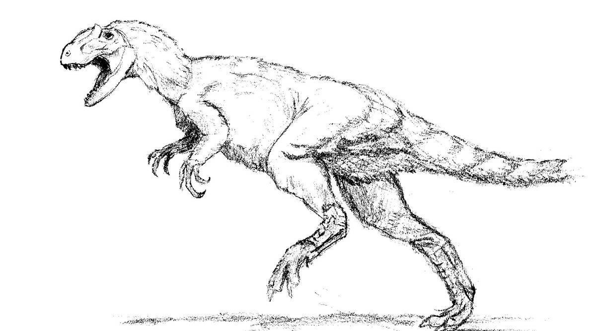 Yutyrannus By JFDVET On DeviantArt yutyrannus-by-jfdvet-on-deviantart