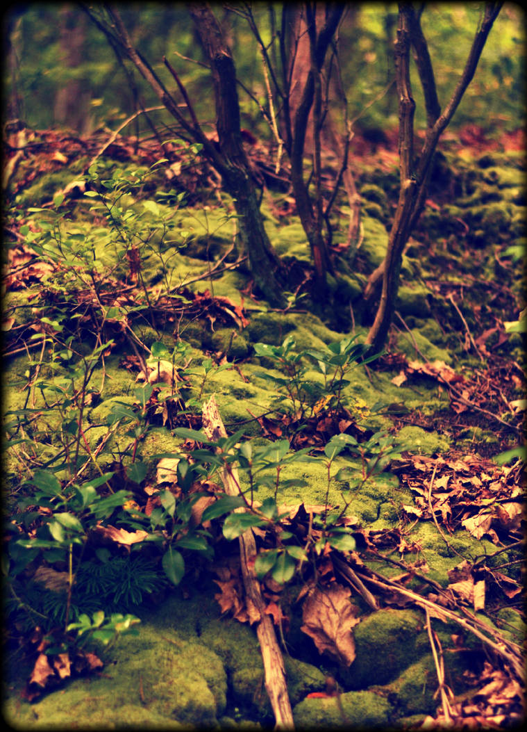Mossy by creeperdude on DeviantArt