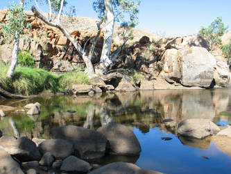 Bush Rockpool