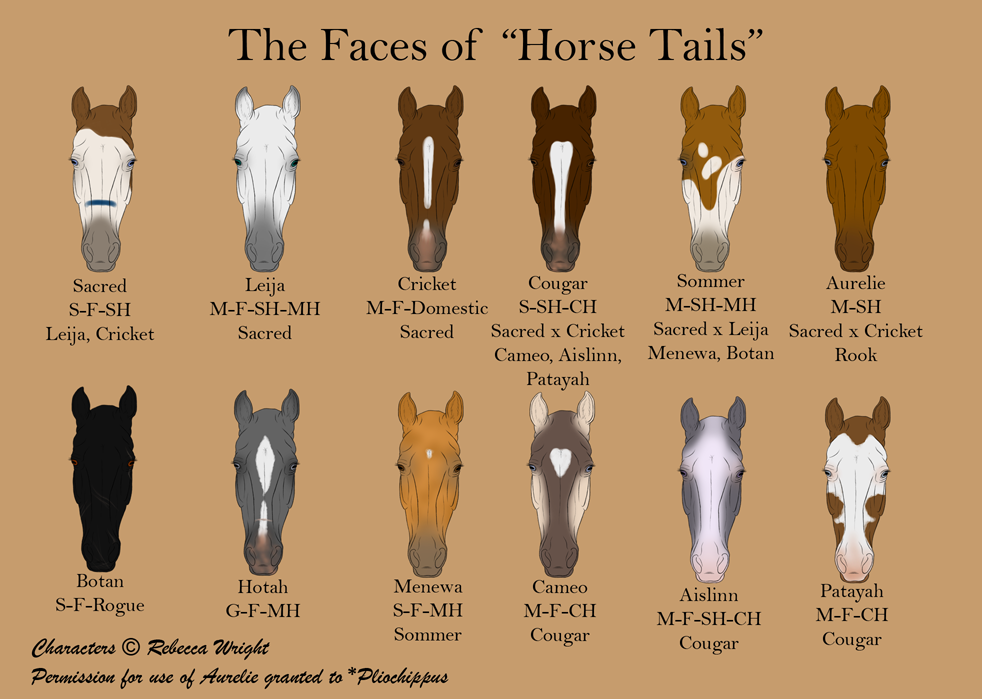 Faces of 'Horse Tails'