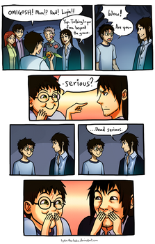 Harry Potter--In all Siriusness