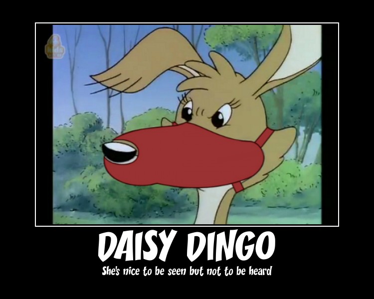 Daisy Dingo DP