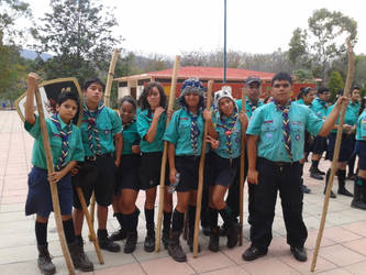 scouts