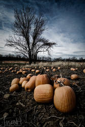 Pumpkins Past - Redux