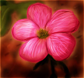 Flower Painting