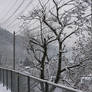 Winter in Nagano, Japan 6 of 6