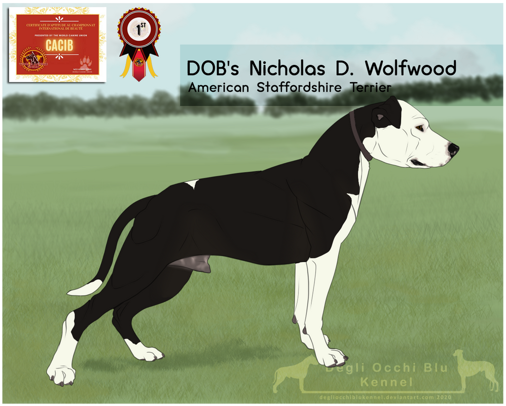 Wolfwood kennels top