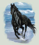 Black Beauty by IsraLlona