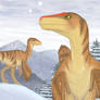 Raptors in Snow