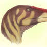 Raptor Profile Portrait