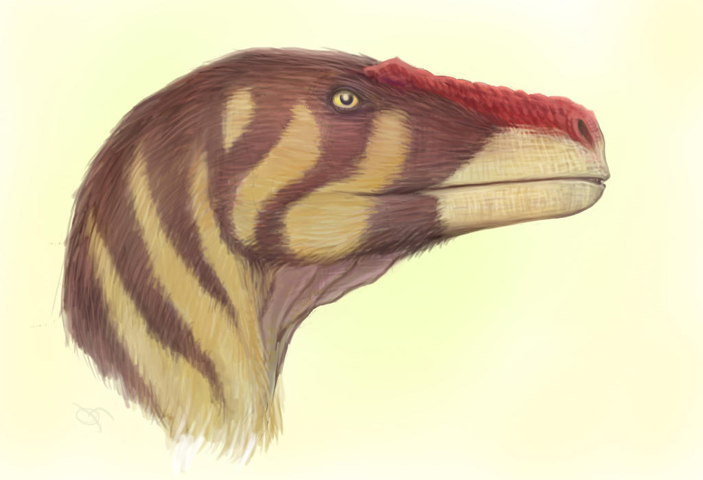 Authentic Raptor Face Raptor Profile Portrait by McTalon on DeviantArt