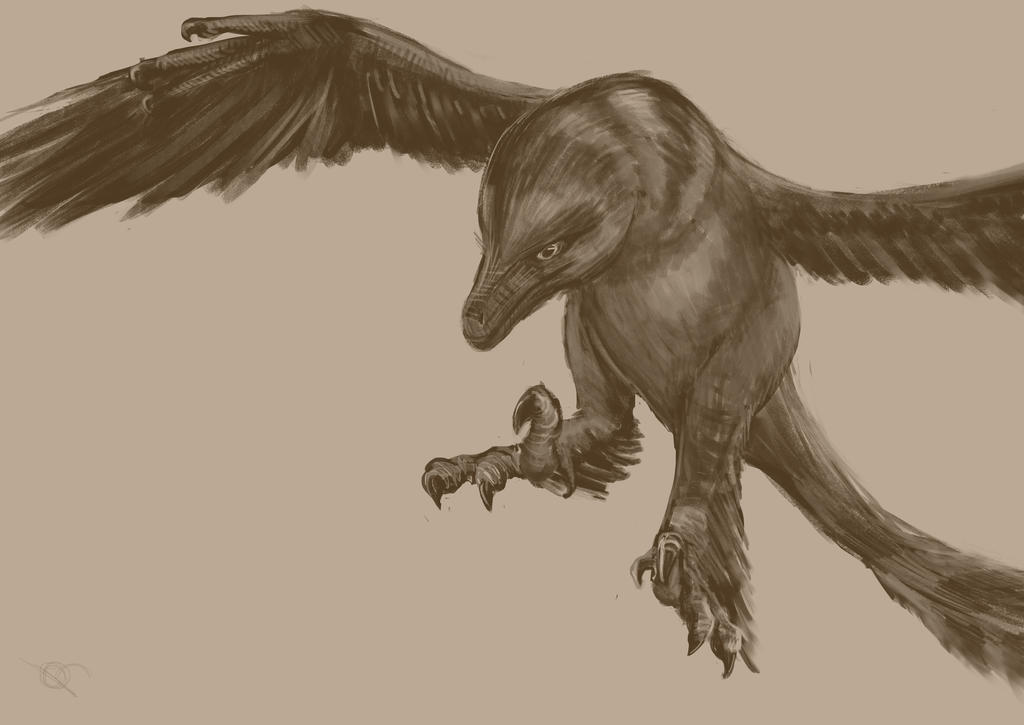 Gliding Raptor by McTalon on DeviantArt