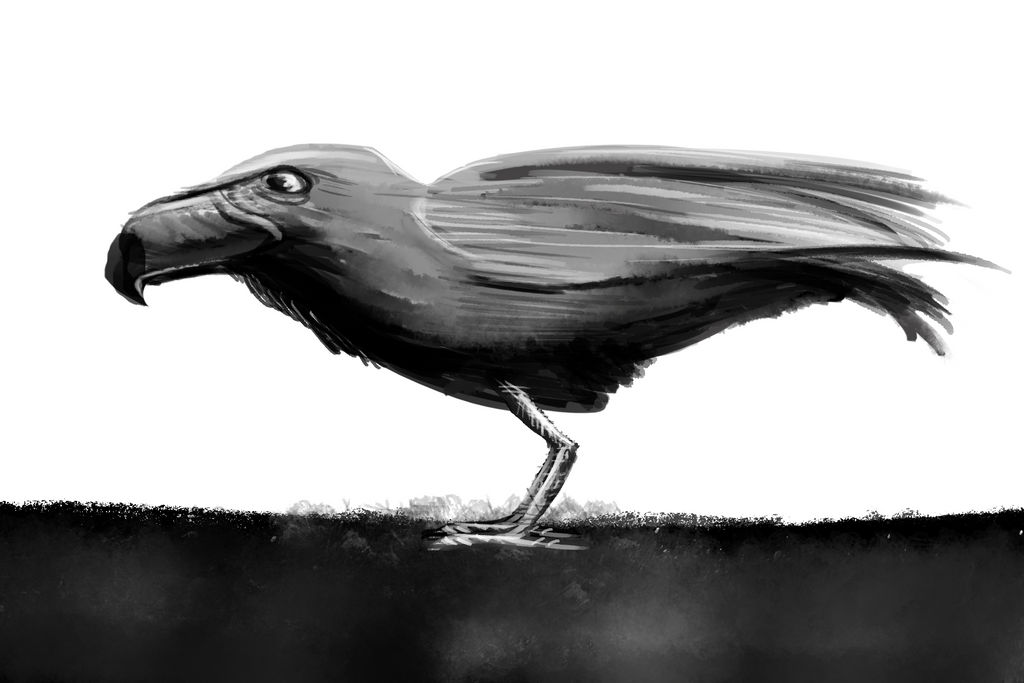 Big Beaked Bird Doodle by McTalon on DeviantArt Big Beaked Bird Doodle by McTalon on DeviantArt