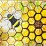 Honeycomb Sunflower 