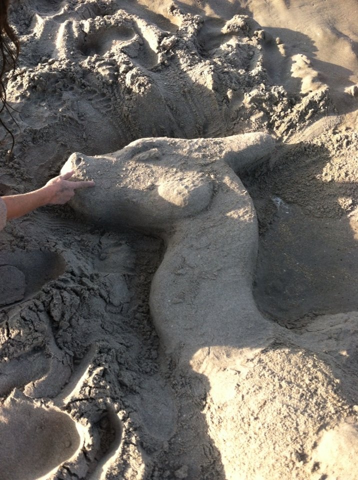 Sand Charizard