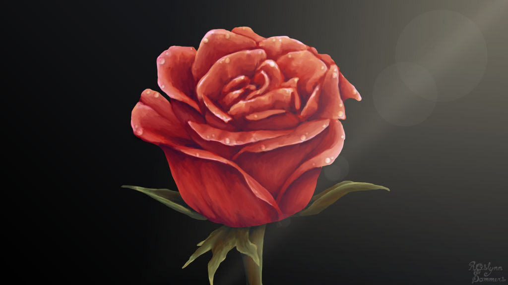Single Rose Wallpaper by RoslynnSommers