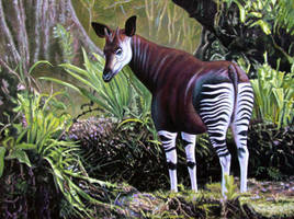 Okapi in Forest