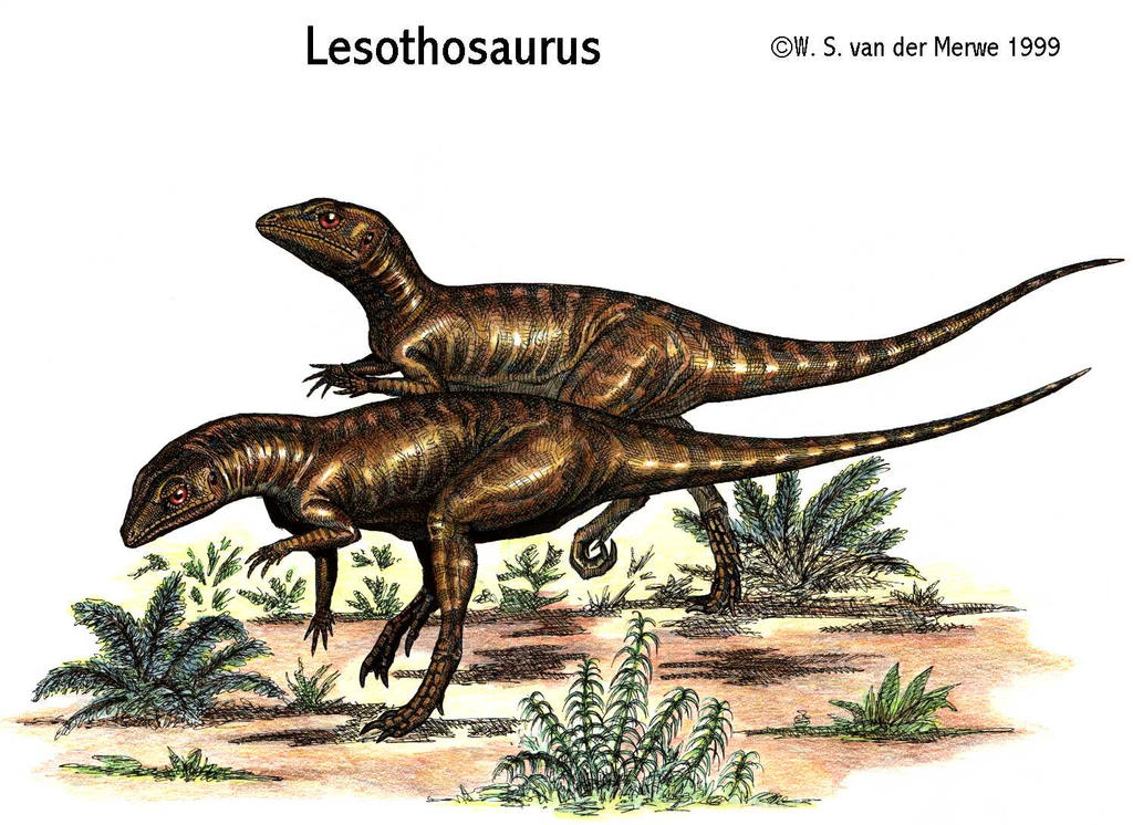 Lesothosaurus