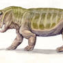 Lystrosaurus 2