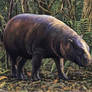 Pygmy Hippo Combo