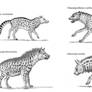 Prehistoric Hyenas