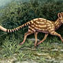 Diacodexis