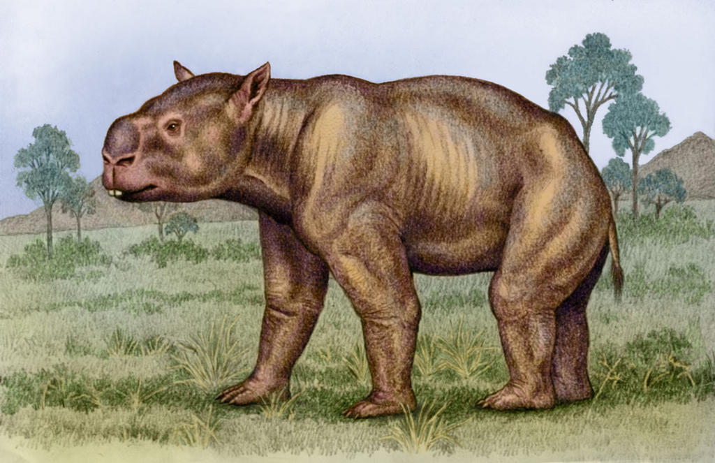 Diprotodon optatum