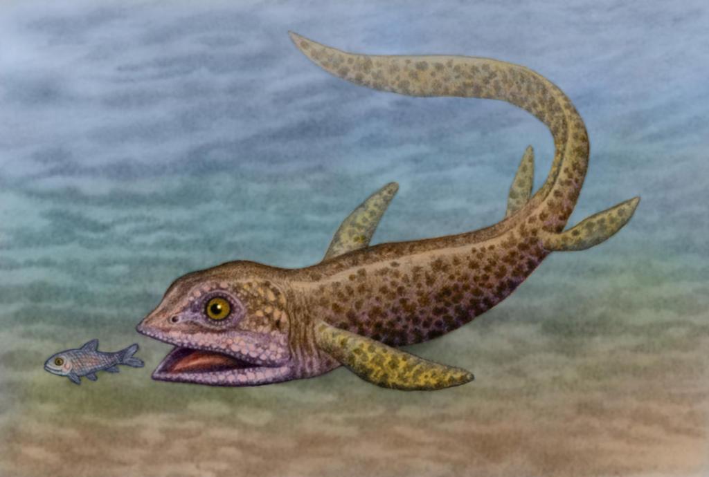 Ихтиозавры стегоцефалы. Ихтиозавры триаса. Cartorhynchus lenticarpus. Ихтиозавры Триасового периода. Ихтиозавр мезозой.