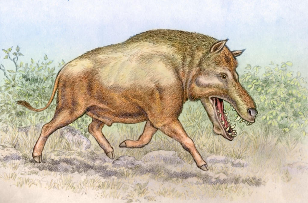 Cypretherium