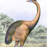 South Island Giant Moa