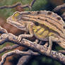 Rieppeleon brevicaudatus