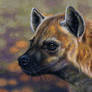 Spotted Hyena