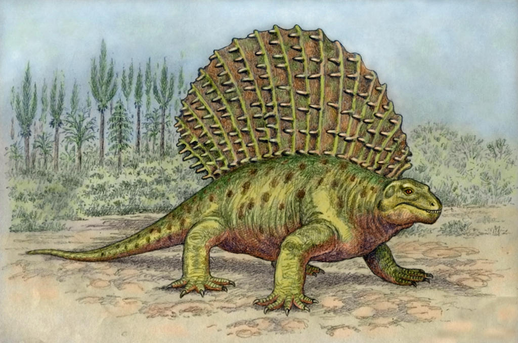 Вымерший пресмыкающиеся больших размеров. Эдафозавр. Диметродон палеозой. Пеликозавры Триасового периода. Эдафозавр динозавр.