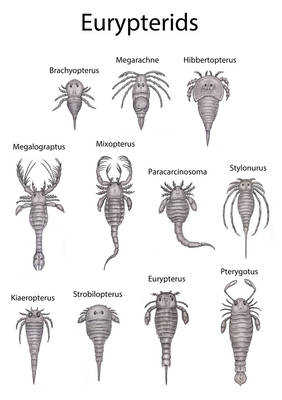 Eurypterids