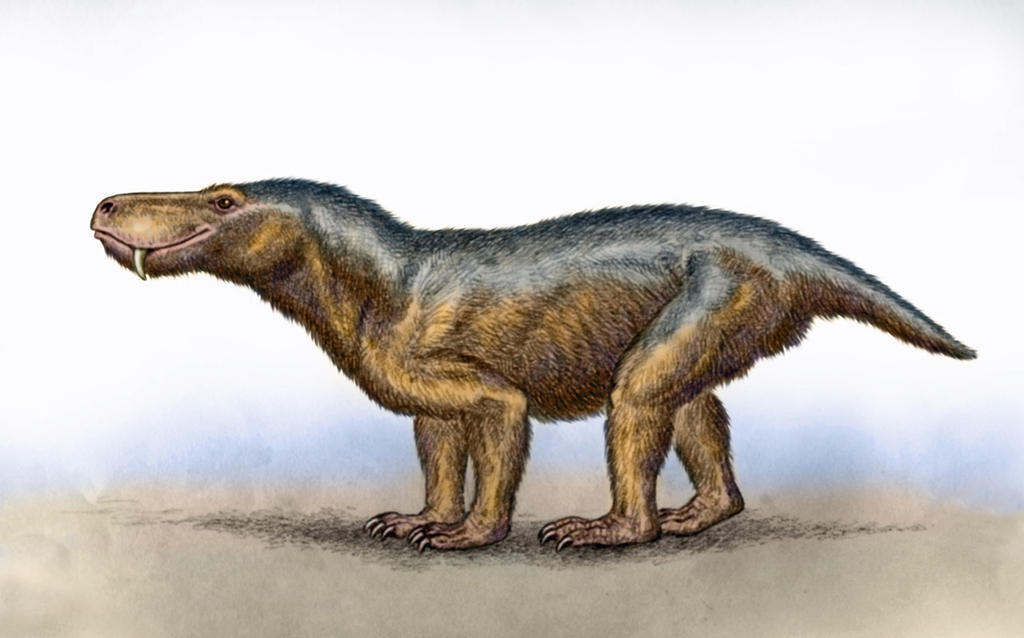 Glanosuchus macrops