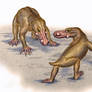 Choerosaurus dejageri