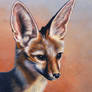 Cape Fox