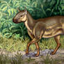 Hyracodon