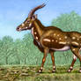 Miotragocerus monacensis