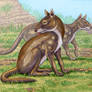 Protypotherium australe