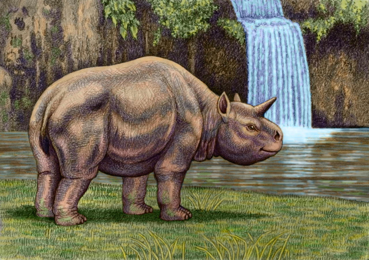 Trigodon Trigodon gaudryi by WillemSvdMerwe on DeviantArt