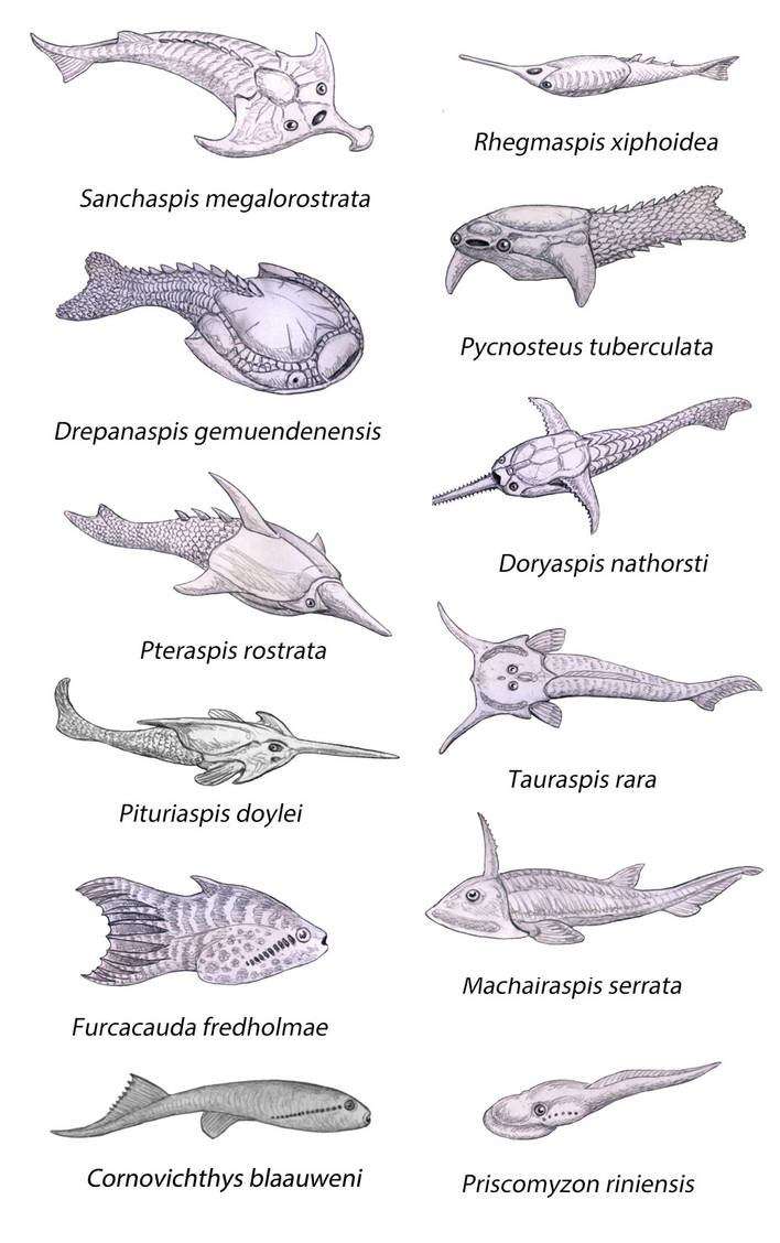Devonian Jawless Fishes by WillemSvdMerwe on DeviantArt